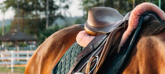 Il Lago e il Cavallo | Associazione Ippica